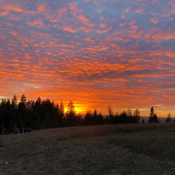 Meet your Posher, Rebecca Ball ❣️ - Picture 11 of 13